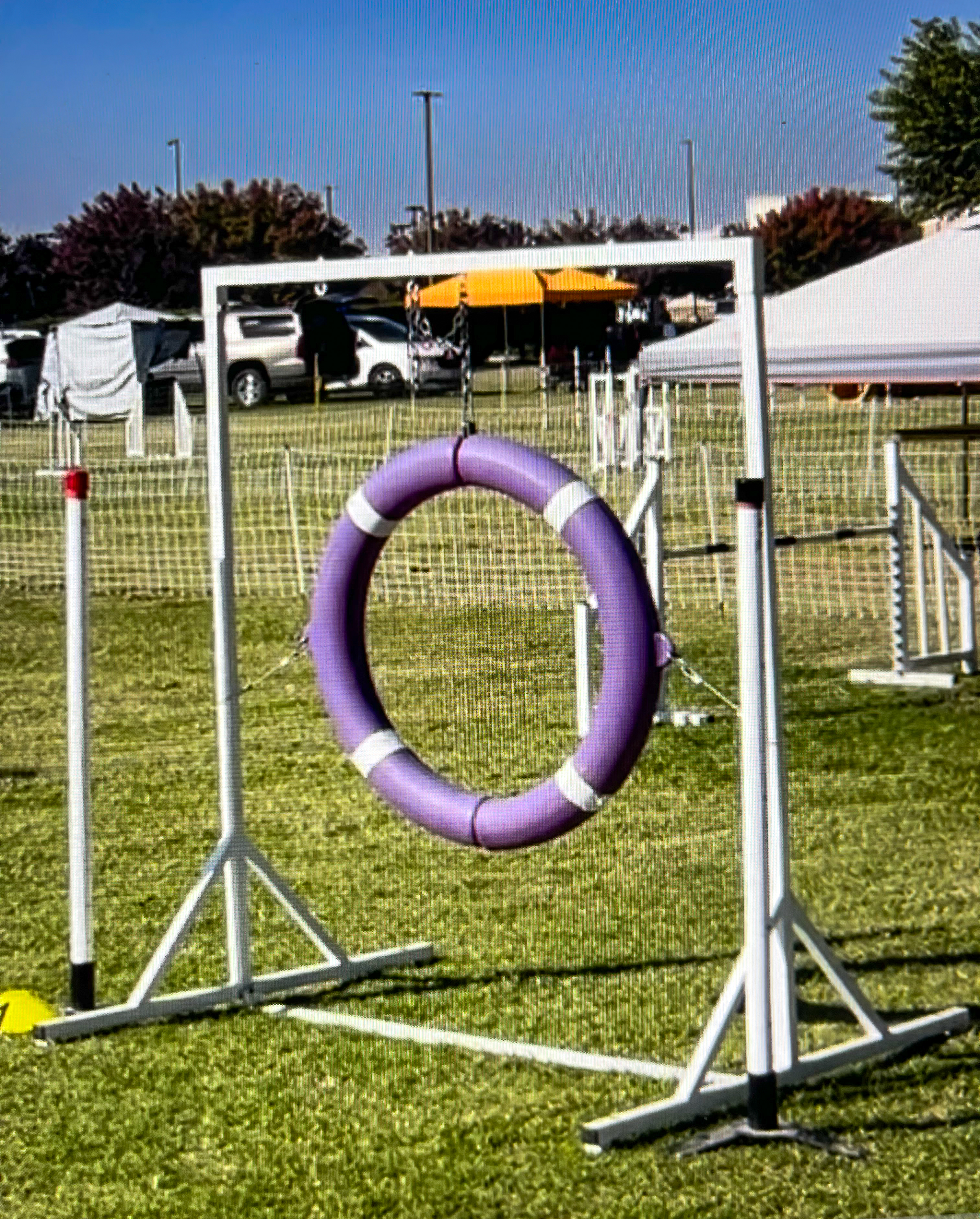 Agility field with tire jump in foreground.
