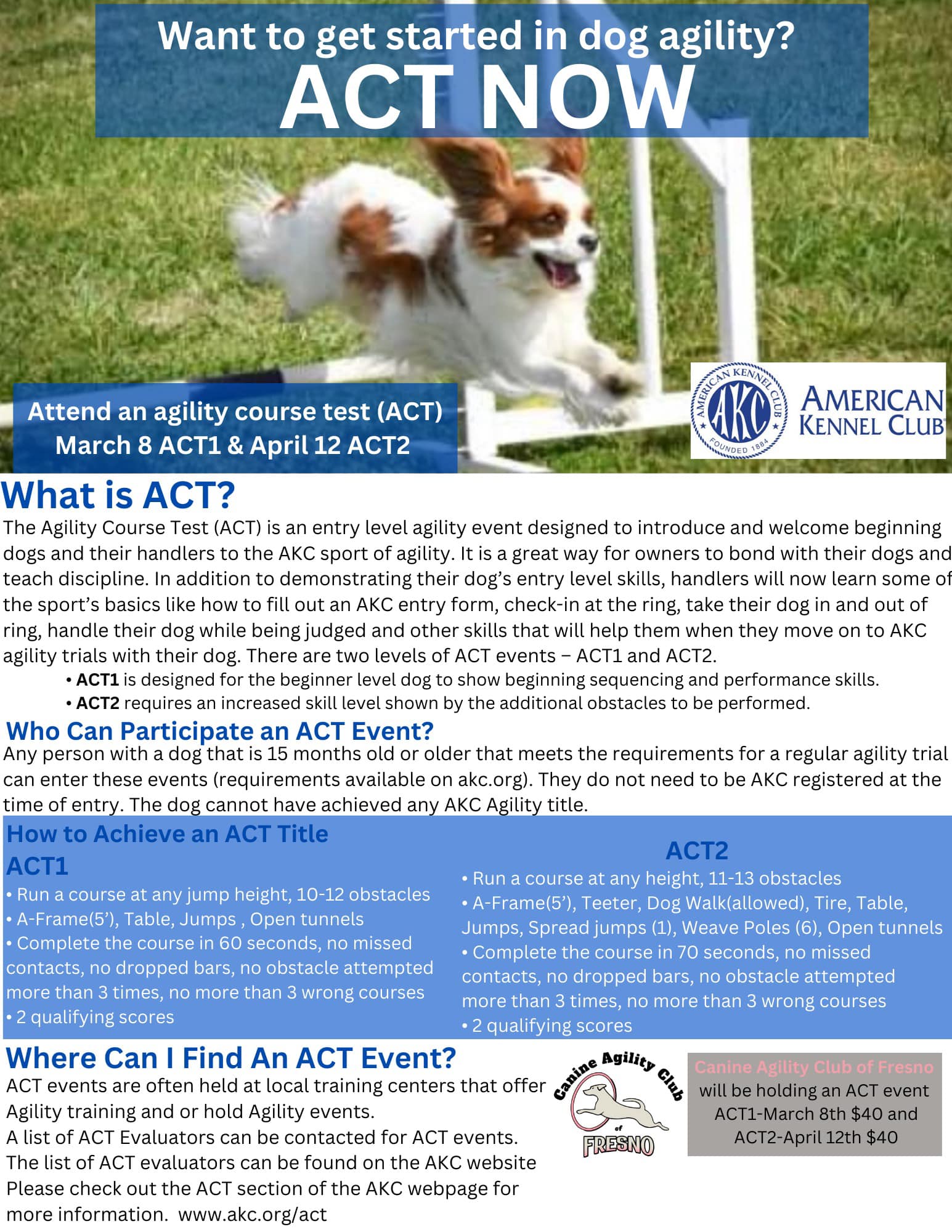 ACT poster with dog jumping over an agility hurdle in a grassy field.