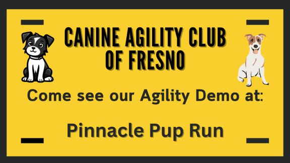 Canine Agility Club of Fresno, come see or Agility Demo at: Pinnacle Pup Run